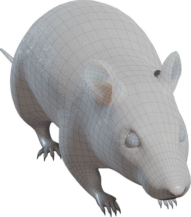<img alt="" src="/user/pages/03.3d-assets/01.3d-characters/street-rat/clay.webp?name" />